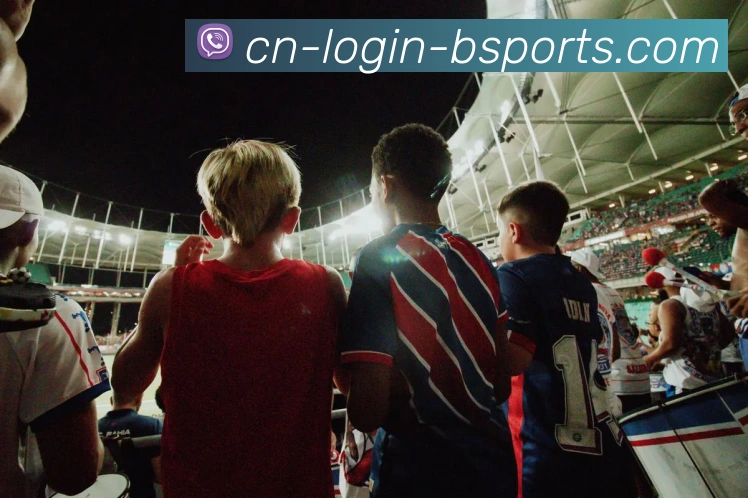 B体育APP 封面图