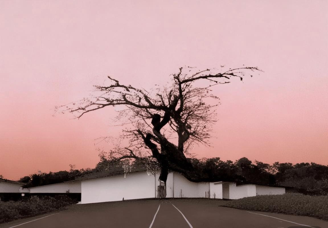 保加利亚VS科索沃：欧洲赛场激战战术解析与亮点回顾